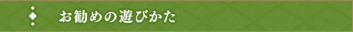 お勧めの遊び方